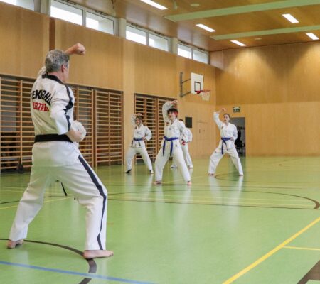 Taekwondo Training