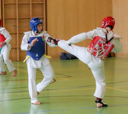 Taekwondo Training