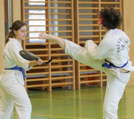 Taekwondo Training